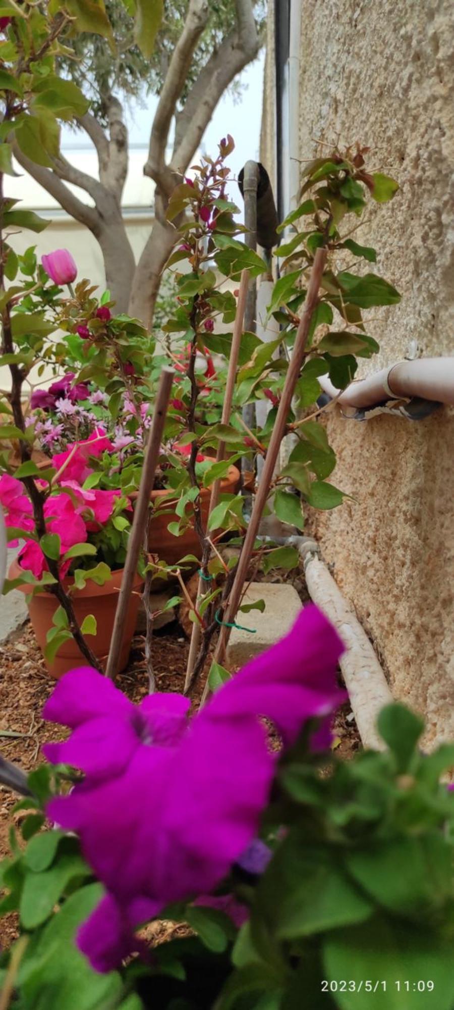 Secret Garden Home Lagonissi Attiki Melissourgoú 외부 사진