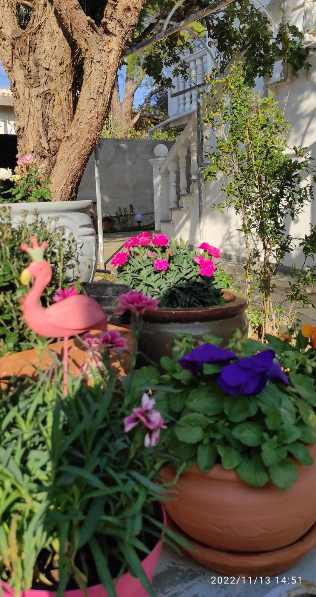 Secret Garden Home Lagonissi Attiki Melissourgoú 외부 사진