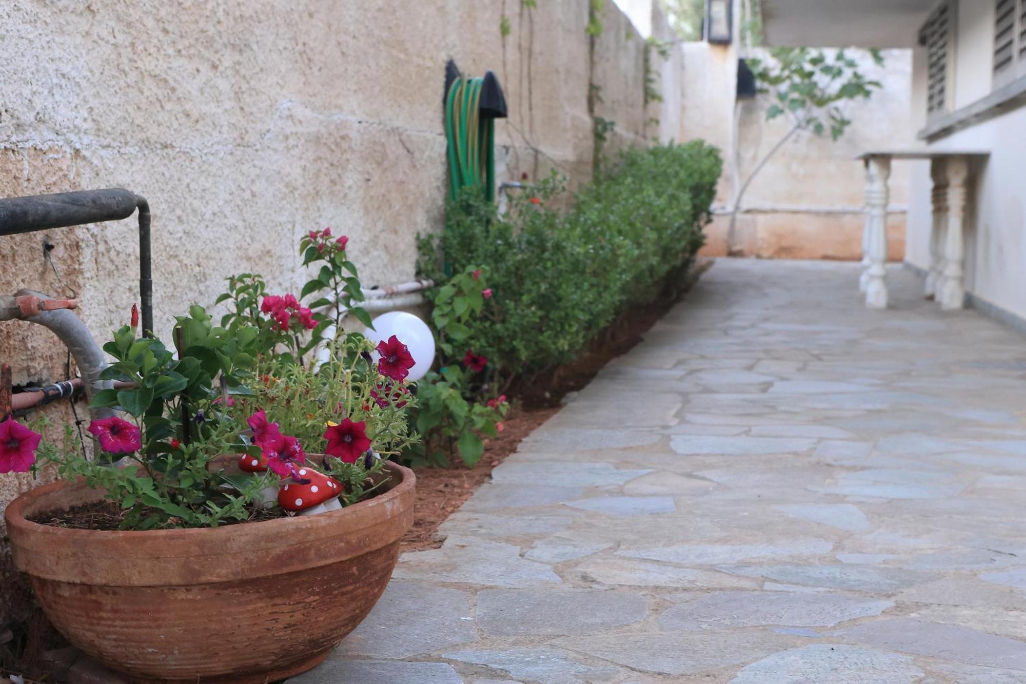Secret Garden Home Lagonissi Attiki Melissourgoú 외부 사진