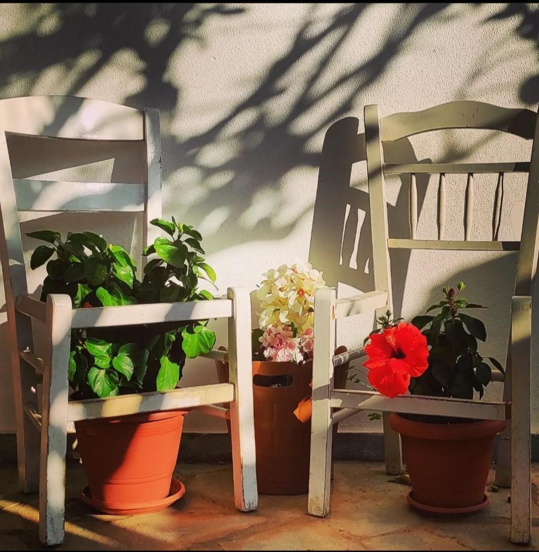 Secret Garden Home Lagonissi Attiki Melissourgoú 외부 사진